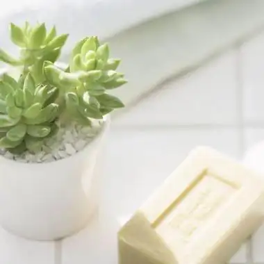 小清新意境图片森系 森系小清新唯美图片