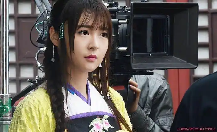 张语格关不掉罚款