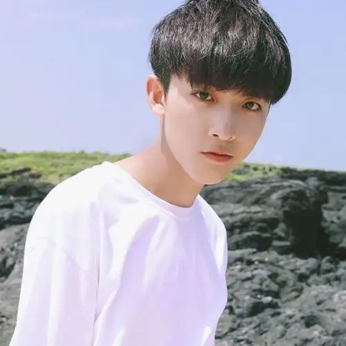 锅盖头发型男图片