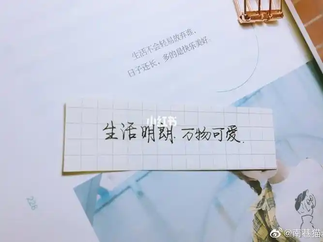 生活明朗万物可爱