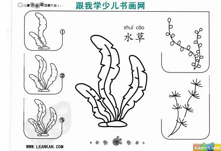 水草海洋生物免抠素材水草简笔画图片,教程珊瑚水草图片简笔画 植物篇
