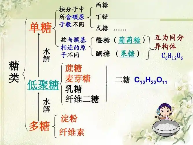 糖类第二课时[1]ppt