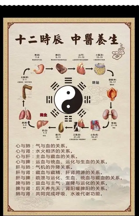 19点什么时辰 (19点半是什么时辰)-第1张图片-珑钦运势网