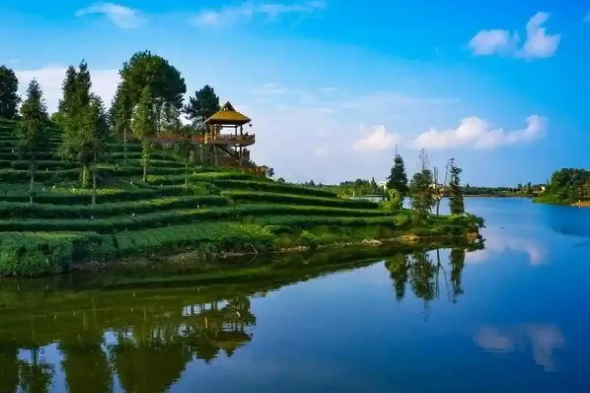 月亮湖畔的茶香之旅  雅安月亮湖景区,浪漫茶乡主题明确,乡村旅游的
