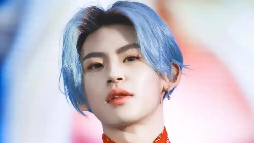 王琳凯素材 - 堆糖,美图壁纸兴趣社区