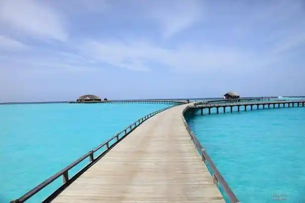 马尔代夫的真实状况:推行"一夫多妻"制度,远超了想象中的样子