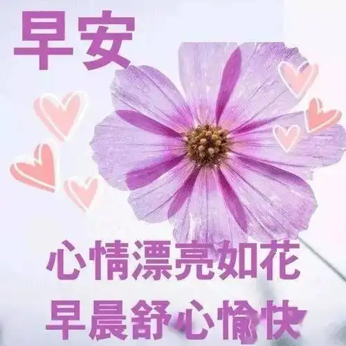 微信特漂亮早安动态祝福图片带字美图温馨的秋天早上好问候语句动画