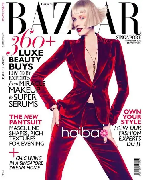 模特quinta witzel登上《harpers bazaar》杂志新加坡版2012年11月刊
