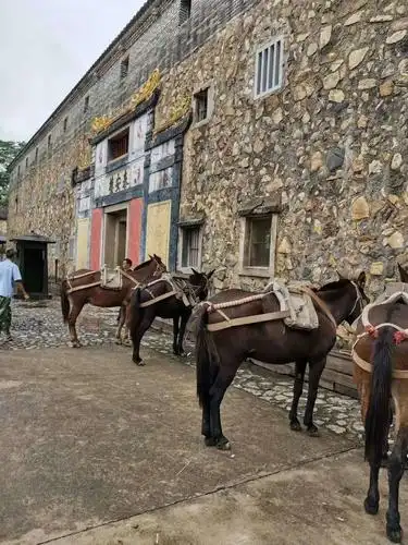 电视剧绝密使命在泰安楼景区拍摄曝光速来围观