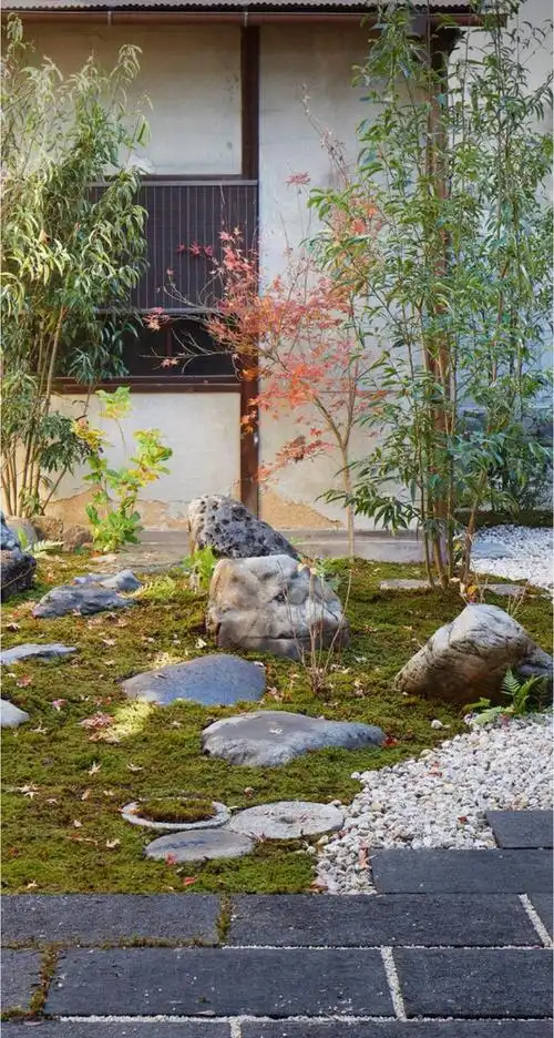 漂亮的院子图片