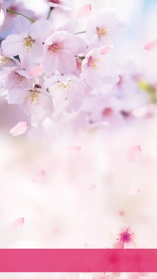 春天桃花h5背景