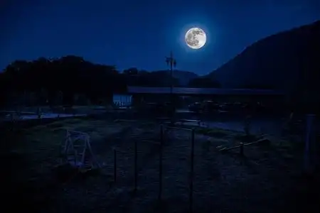 晚上在森林里建筑的山夜风景与月亮或老式乡下房子在晚上与云彩和星.