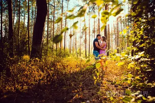 浪漫的年轻情侣接吻背景夏季森林