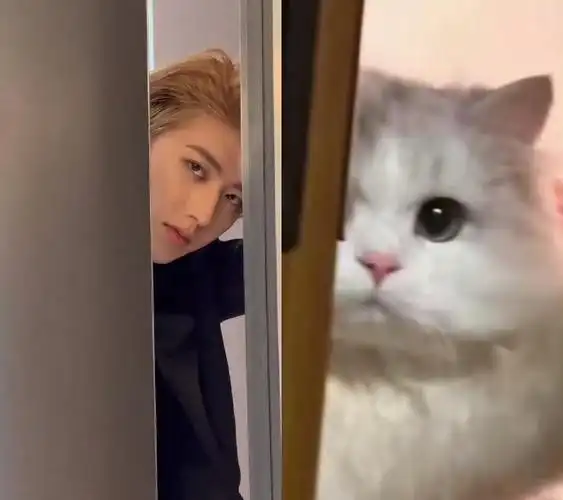 蔡徐坤猫塑自己##蔡徐坤巴黎时装周