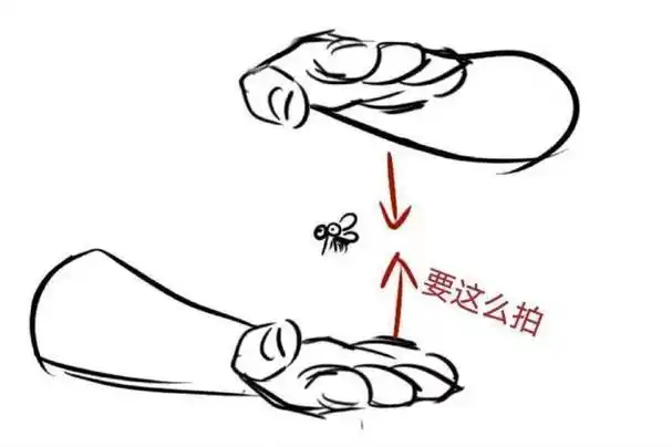 回忆曾经打蚊子的姿态就会发现,当你左右合掌拍击蚊子时,蚊子更简单"