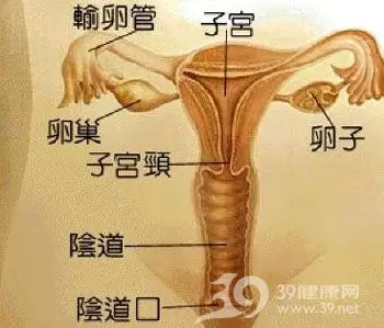 宫外孕宫外孕,简而言之就是在子宫以外怀孕,换言之,受精卵着床的