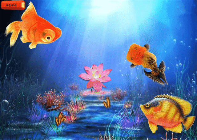 华文视讯海上风配乐朗诵鱼儿和水的故事作者追梦编配重生诵读红豆