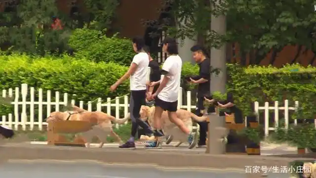 张蓝心新恋情曝光:牵手绯闻男友动作亲密!张蓝心男友资料介绍!