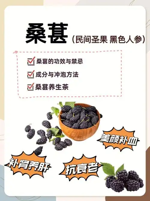 桑葚怎么喝补血养肝补肾73搭配忌