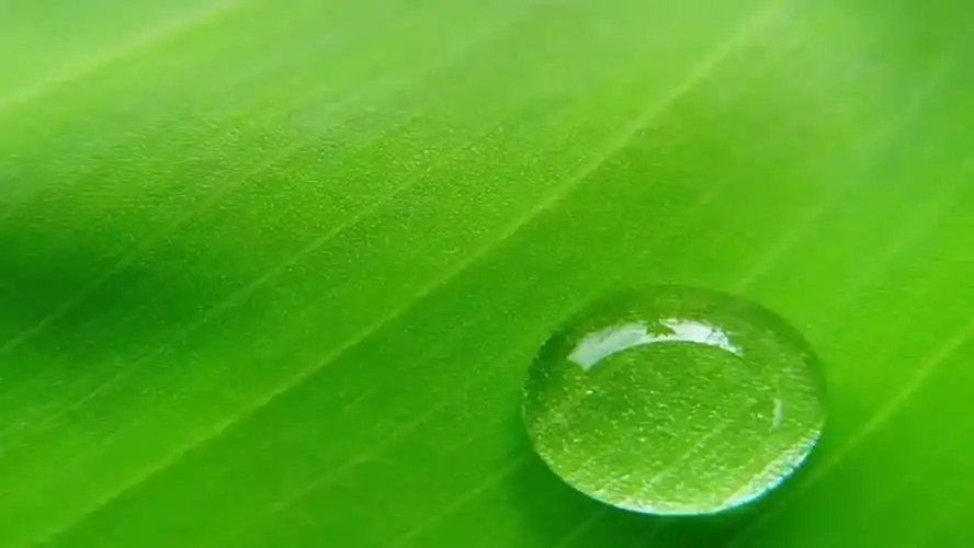 高清微信护眼图选1张当聊天背景图吧