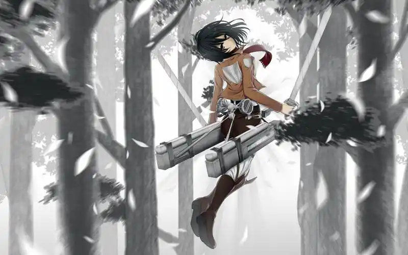 三笠- 堆糖,美图壁纸兴趣社区