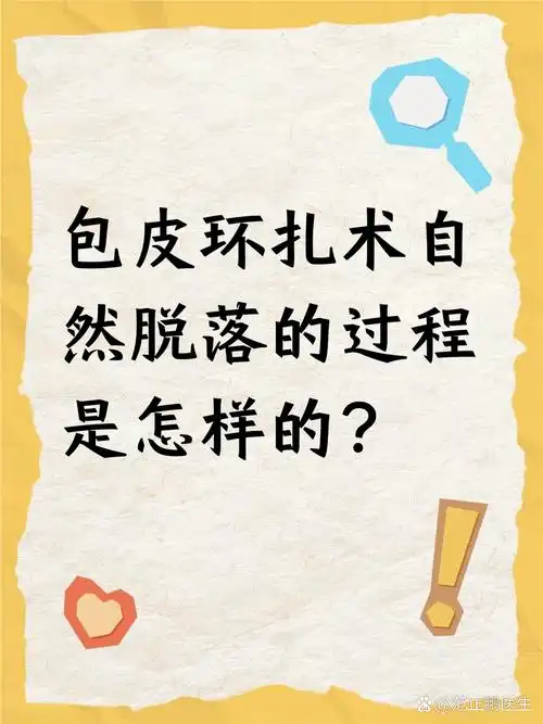 包皮环扎术自然脱落的过程是怎样的?