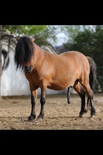 我的6系,混血王子,大号安全座椅_宝马6系论坛_汽车之家论坛