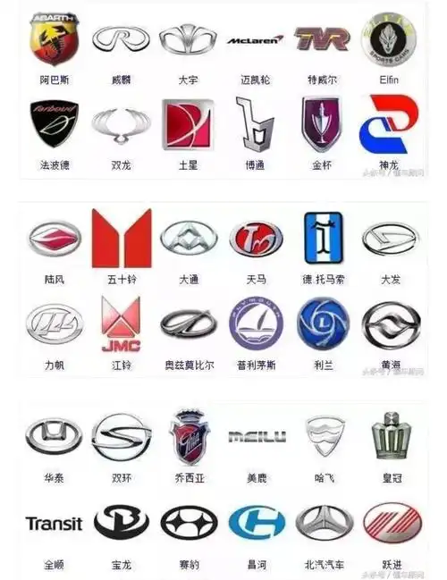 宝贝们喜欢学认车标牌