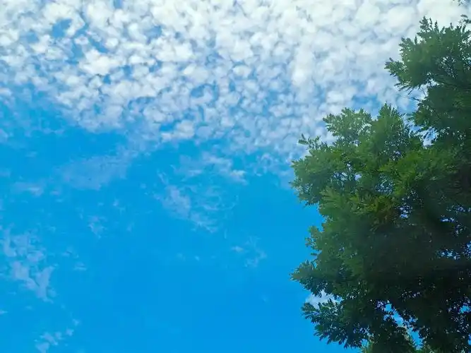 今天的云彩太漂亮啦 搞得我都不想上班啦#蓝天白云定会如期而至 - 抖