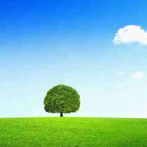 微信聊天绿色草原高清护眼壁纸【点击鼠标右键下载】