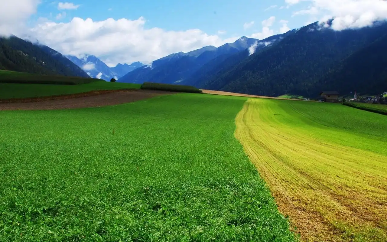 辽阔美丽的绿色草原护眼桌面壁纸高清