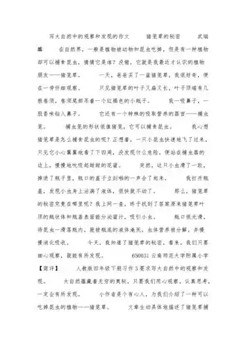 写大自然中的观察和发现的作文 猪笼草的秘密.docx 2页