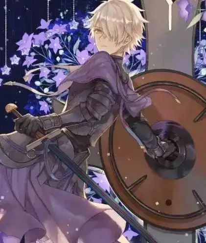 十二星座的守护骑士,每一个都很强大,水瓶座的最神秘