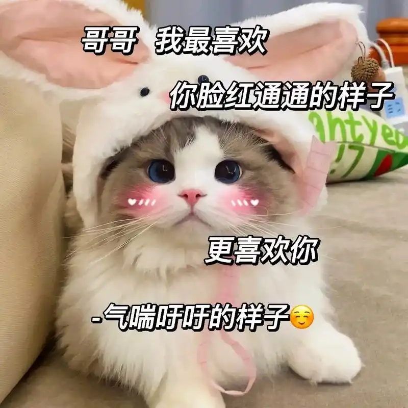 快发给你男朋友,看看他会不会想歪.#猫咪表情包 #发给对象表 - 抖音