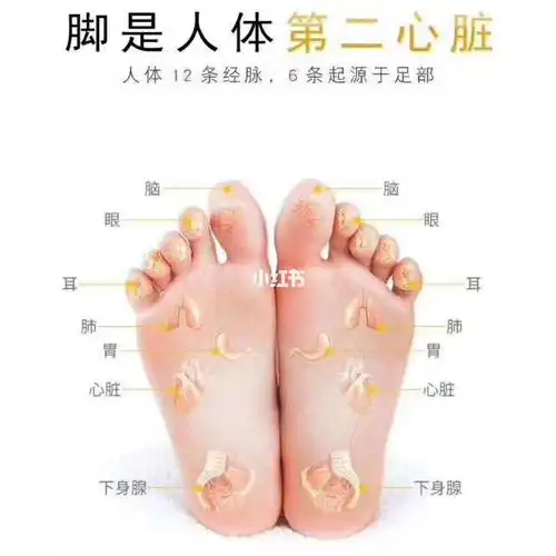 论脚对人体的重要性,脚是人体的第二心脏!