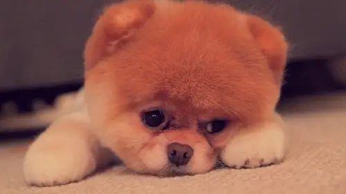 2017六一儿童节可爱卡通宽屏壁纸