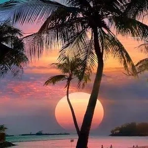 微信风景头像2022年最新版图片自然风景意境