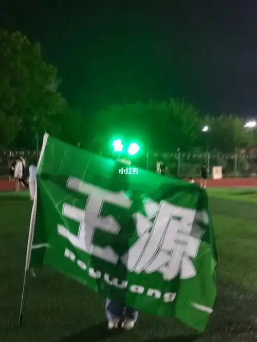 我为王源举大旗