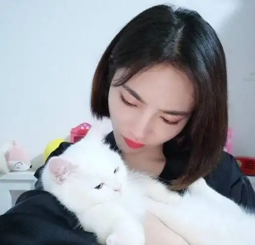 许佳琪和猫猫系女孩,抱着猫咪的kiki好温柔@the9-许佳琪#许佳琪如意芳