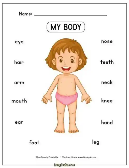 入门英语,初级英语,在线游戏,英文课,英语单词,英语课,英语题,身体