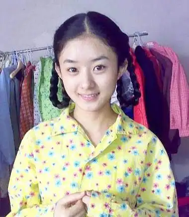 赵丽颖的关键时刻:郑晓龙能助她从流量顶花晋级演技女王吗?