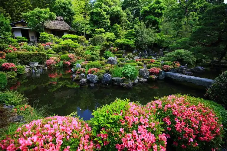 爸妈再也不用担心我看不懂京都的庭院啦