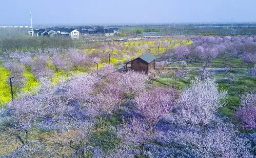 宿迁三台山森林公园图片
