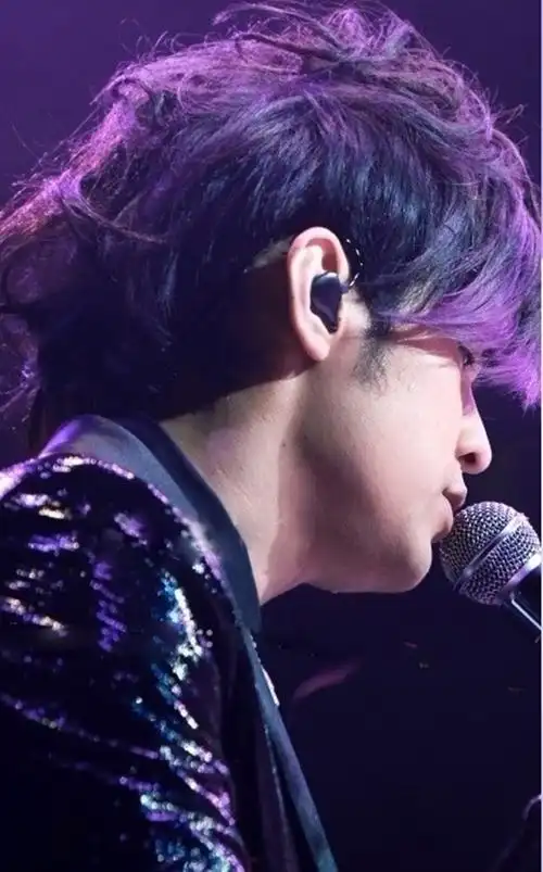 周杰伦经典造型《紫毛伦》