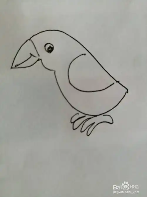 可爱的小鸟怎么画