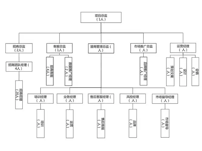 项目团队架构职责.pptx 2页