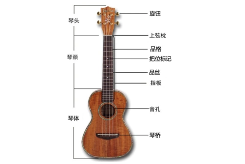 一定要学会尤克里里!