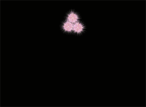 马甲门迎新:一个接着一个放烟花