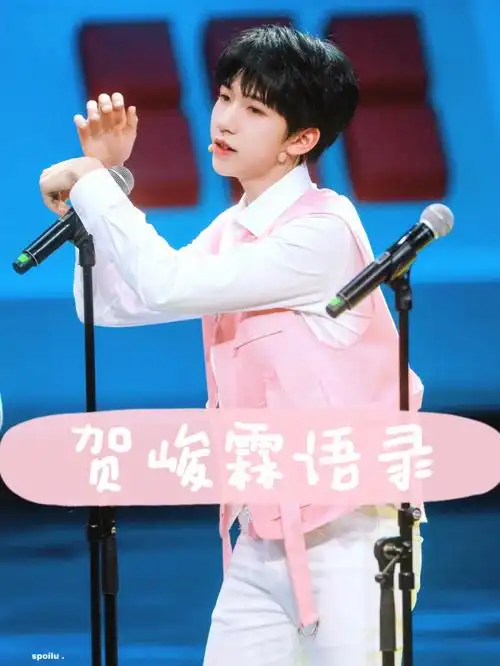 贺峻霖语录part7