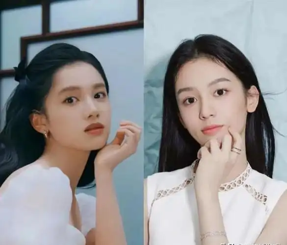 长得神似的13对明星,能认出3对算你眼神好,真没有血缘